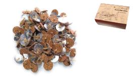 ΦΥΤΙΛΙΑ ΜΕ ΦΕΛΛΟ ΕΠΙΠΛΕΟΝΤΑ 50τεμ. 0515457