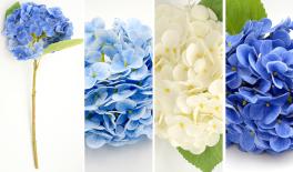 ΟΡΝΤΑΣΙΑ ΚΛΑΔΙ 0516000