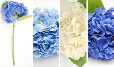 ΟΡΤΑΝΣΙΑ ΚΛΑΔΙ 0516000