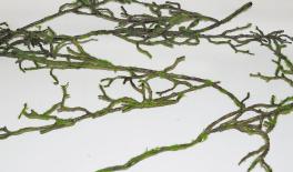 ΓΙΡΛΑΝΤΑ ΧΝΟΥΔΩΤΗ HY23130 160cm 0516023