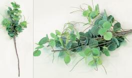 ΚΛΑΔΙ ΕΥΚΑΛΥΠΤΟΣ ΜΕΓΑΛΟ 15cm x 75cm 0516040