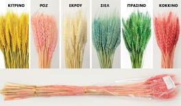 WHEAT 70cm 0516155