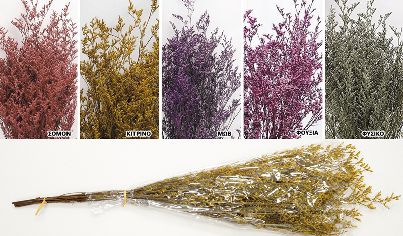 LOVER GRASS 80cm 0516175