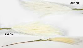 ΚΛΑΔΙ ΤΥΠΟΥ PAMPAS 120cm 0516190