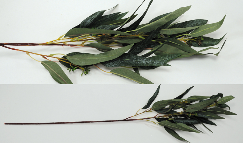 ΚΛΑΔΙ ΕΥΚΑΛΥΠΤΟΣ 90cm 0516192