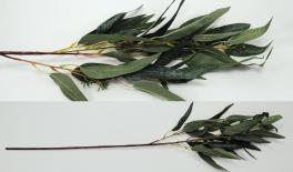 ΚΛΑΔΙ ΕΥΚΑΛΥΠΤΟΣ 90cm 0516192