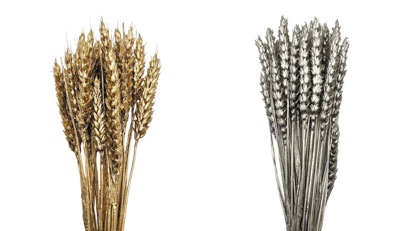 WHEAT 50cm 0516197