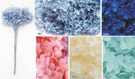 ΒΑΛΣΑΜΩΜΕΝΗ ΟΡΝΤΑΣΙΑ 0516199