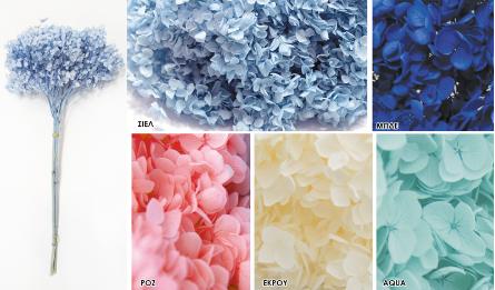 ΒΑΛΣΑΜΩΜΕΝΗ ΟΡΤΑΝΣΙΑ 0516199