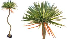 ΑΓΑΥΗ ME ΠΡΑΓΜΑΤΙΚΗ ΥΦΗ ΨΗΛΗ ΜΕ ΒΑΣΗ 288cm 0516204