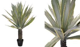 ΑΓΑΥΗ ME ΠΡΑΓΜΑΤΙΚΗ ΥΦΗ ΜΕ ΚΟΡΜΟ ΣΕ ΓΛΑΣΤΡΑ 180cm 0516206