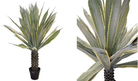 ΑΓΑΥΗ ME ΠΡΑΓΜΑΤΙΚΗ ΥΦΗ ΜΕ ΚΟΡΜΟ ΣΕ ΓΛΑΣΤΡΑ 180cm 0516206