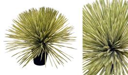 ΓΙΟΥΚΑ ME ΠΡΑΓΜΑΤΙΚΗ ΥΦΗ ΜΕ ΓΛΑΣΤΡΑ 80cm 0516208