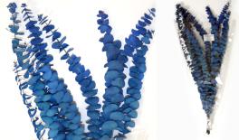 EUCALYPTUS BABY 70cm 0516216