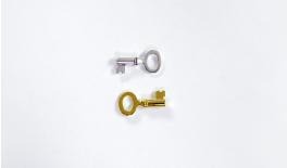 ΜΕΤΑΛΛΙΚΟ ΚΛΕΙΔΙ ΜΙΚΡΟ 25mm x 10mm 0517742