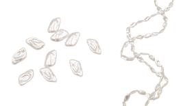 ΧΑΝΤΡΑ ΤΥΠΟΥ ΜΑΡΓΑΡΙΤΑΡΙ 15mm 0517978