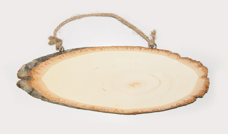 ΠΙΝΑΚΙΔΑ ΚΟΡΜΟΣ ΟΒΑΛ 28cm x 10cm 0520123