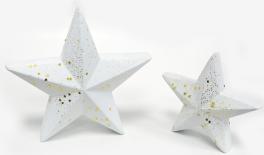 ΑΣΤΕΡΙ ΒΕΛΟΥΔΙΝΟ ΜΙΚΡΟ 17cm FH-220524 0530062