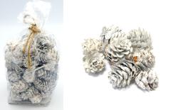 ΚΟΥΚΟΥΝΑΡΙΑ ΑΣΠΡΑ ΜΕ ΑΣΗΜΙ ΓΚΛΙΤΕΡ 0530152