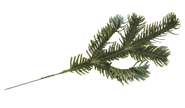 ΚΛΑΔΙ ΕΛΑΤΟ 29cm 0530188
