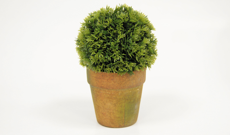 ΓΛΑΣΤΡΑΚΙ ΜΠΑΛΑ 19cm x 12cm ST14-T095 0532018