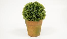 ΓΛΑΣΤΡΑΚΙ ΜΠΑΛΑ 19cm x 12cm ST14-T095 0532018