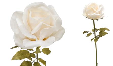 ΤΡΙΑΝΤΑΦΥΛΛΟ ΜΕ ΚΟΡΜΟ 28cm 0621006