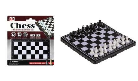 S1102-1 Magnetic game chess toy 0621018