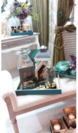 FAITAKIS PACK 3355723